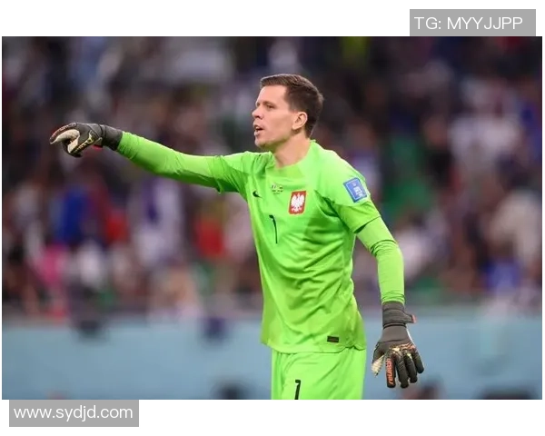 波兰足球队的明星球员盘点及其在国际赛场上的精彩表现 波兰足球队的明星球员盘点及其在国际赛场上的精彩表现