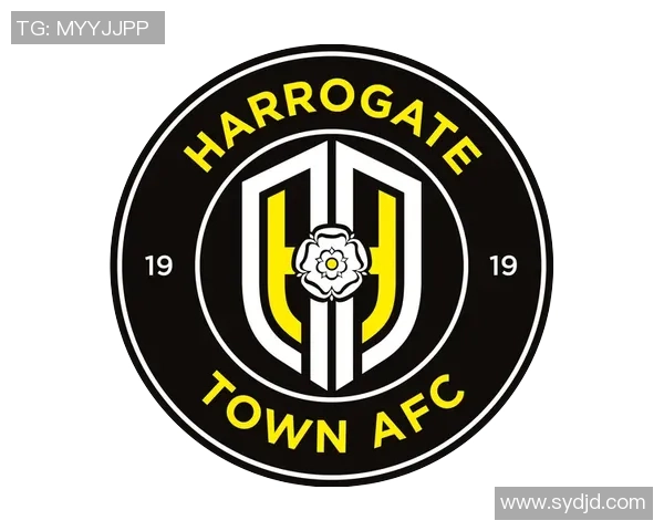 哈罗盖特镇足球队球星风采揭秘:从赛场到生活的多面人生 哈罗盖特镇足球队球星风采揭秘:从赛场到生活的多面人生