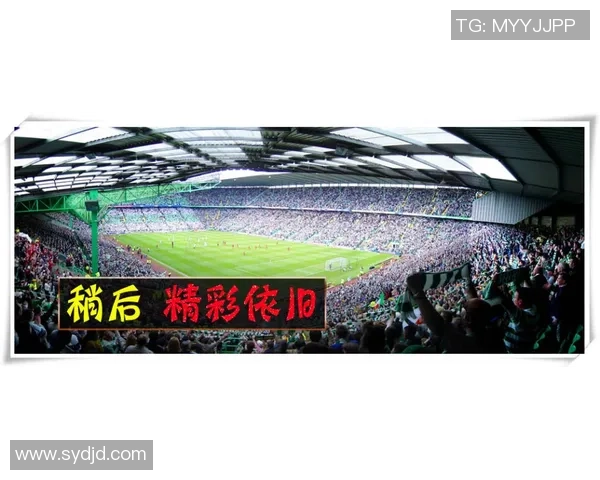 如何购买巴西足球队球星卡及其市场价值分析