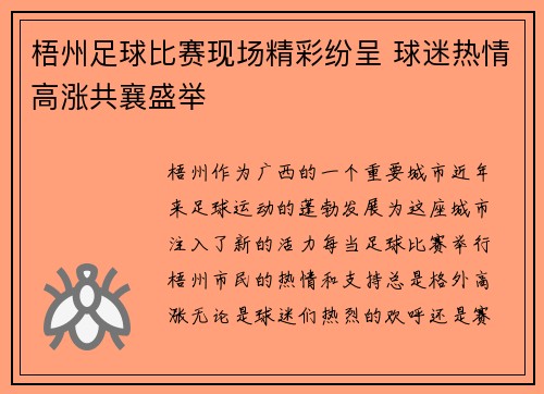 梧州足球比赛现场精彩纷呈 球迷热情高涨共襄盛举